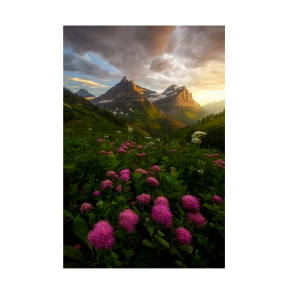 Canvas Wall Art - Ryan Dyar 'As It Fades' Wall Art for Living Room, Bedroom, or Office Décor by Trademark Fine Art - 12 x 19 Inches