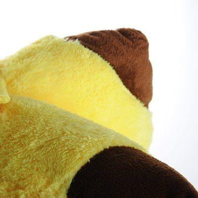 pikachu pillow pet