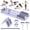 Type 2-Purple, variant on BAOKALER Pilates Board, Upgraded Pilates Reformer Equipment With Automatic Rebound, Core Training Ab Roller, Foldable Workout Machines - Full Body Workout Equipment, Home Pilates