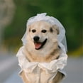 thumbnail image 2 of HQREA Large Dog Wedding Dress with Veil, White Embroidered Dog Princess Dress Outfit for Party, 2 of 6