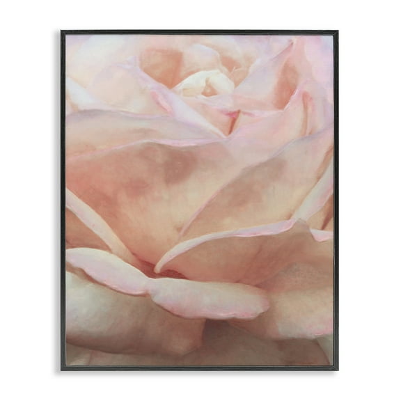 Stupell Industries Soft Rose Petals Botanical & Floral Painting Black Framed Art Print Wall Art, 11 x 14