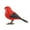 Red, variant on SIfdSeng Robot Bird Singing and Chirping Bird Toy Simulate the Chirping of Birds Battery Operated Realistic Singing Chirping Birds for Home Decoration Light and Voice Control (Without Battry)