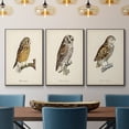 thumbnail image 2 of French Owls I - Framed Premium Gallery Wrapped Canvas L Frame 3 Piece Set - Ready to Hang, 2 of 9