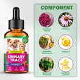 thumbnail image 5 of Urinary Tract Infection Treatment for Cats and Dogs, 60ML,Pet ur-in-a-ry tr-a-ct drops, rich in cranberries, 5 of 9