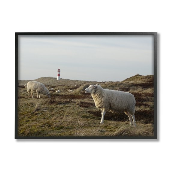 Stupell Industries Grazing Sheep Peaceful Grassland Hills Distant Lighthouse Photograph Black Framed Art Print Wall Art, Design by Daphne Polselli