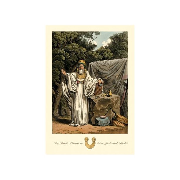Arch Druid In His Judicial Habit Print Unframed Paper Print 20x30 Walmart Com Walmart Com