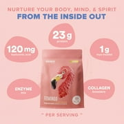 BIRDMAN Fitmingo Vegan Protein Powder with Inositol, 3 Blends, Vanilla, 45 Servings, 3.3lb