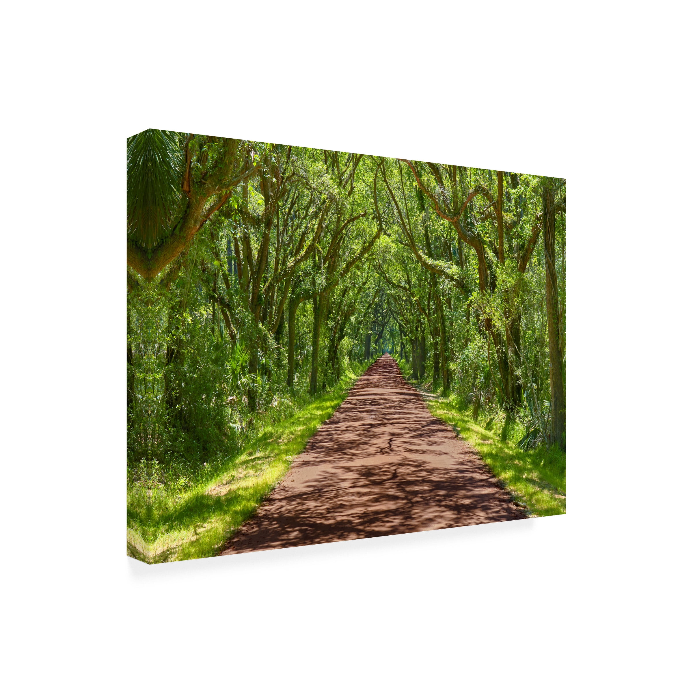 James McLoughlin 'Country Road Photo IV' Canvas Art