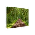 thumbnail image 2 of James McLoughlin 'Country Road Photo IV' Canvas Art, 2 of 3