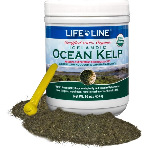 Life Line Ocean Kelp Dog & Cat Supplement, 16 Oz