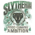 thumbnail image 2 of Mens Harry Potter Slytherin Pride and Ambition Lightweight Hoodie, 2 of 4
