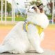thumbnail image 2 of Juego de arnés y correa para cachorros y gatos, arnés Escape Cat, chaleco de malla suave reflectante ajustable para cachorros, gatitos, conejos y hurones, arnés para exteriores (cian), 2 of 5