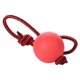 thumbnail image 4 of Durable Rubber Dog Molar Ball with Elastic String for Chew, Stress Relief, and Dental Play – Random Color, 4 of 5