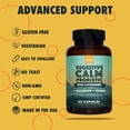thumbnail image 3 of Natural Rhythm Digestive Calm Probiotics with L-Glutamine for Digestive Health and Immune Support, 60 Capsules, 3 of 8