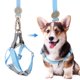thumbnail image 4 of unbranded 1Jgo Arnés Ajustable Y Correa Para Perros Pequeño Estilo Adorable Para Paseos, 4 of 6