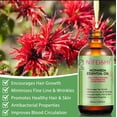 thumbnail image 2 of Monarda Oil Hair Treatment -60 ML- Deep Moisture, Hair Growth - Advanced Formula, 2 of 9