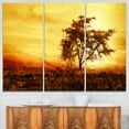 thumbnail image 1 of African Tree Silhouette Photo, 1 of 1