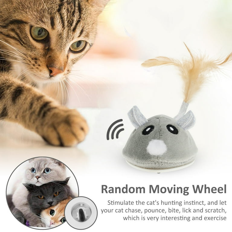 Mity rain Interactive Dog Toys, Fake Mouse Moving Dog Toy with Automatic  Sensor, Dog Mouse Toy with Realistic Sound & Extended Tail, Automatic Dog  Toy