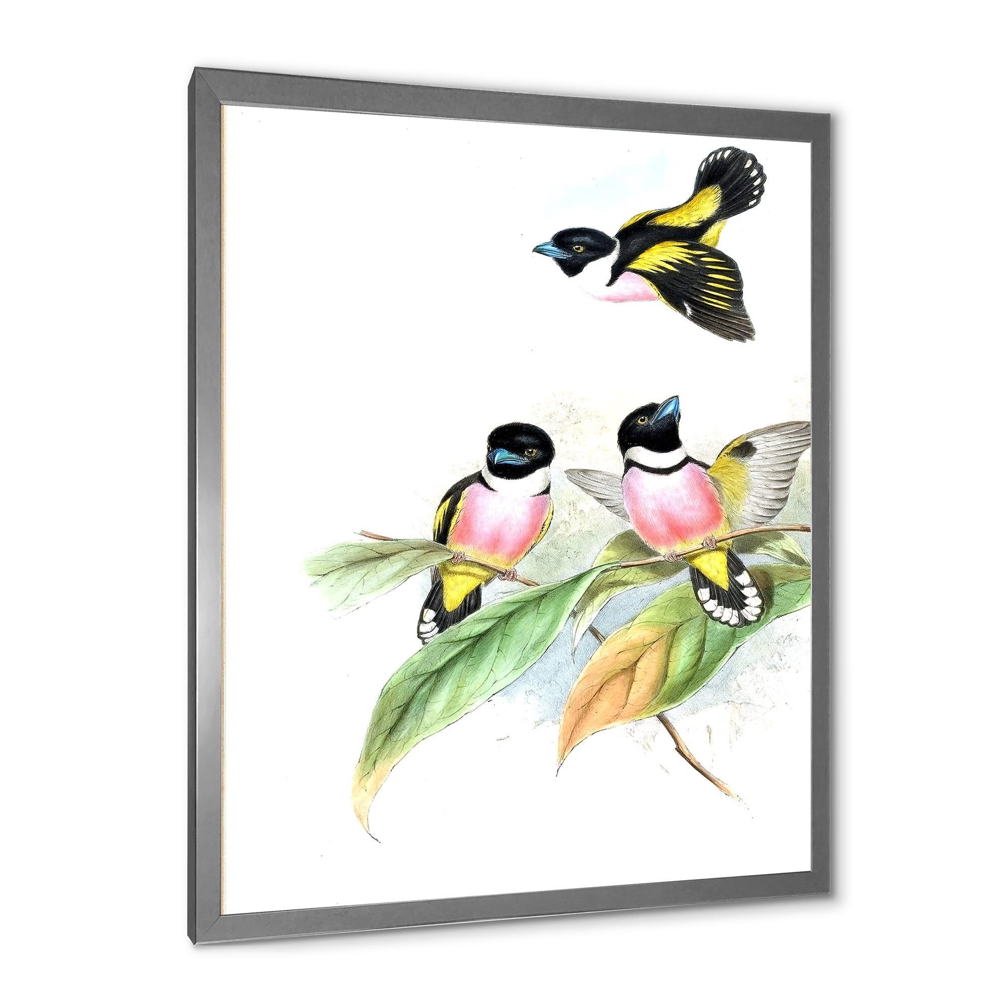 Designart 'Ancient Birds III' Traditional Framed Art Print