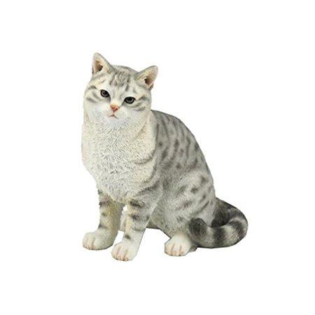Veronese Design Spotted Gray American Shorthair Tabby Cat