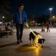 thumbnail image 6 of FeiFu LED Light-Up Dog Leash USB Rechargeable Luminous Traction Rope Adjustable Reflective Pull Strap Glow in the Dark Safety Leash for Night Walking, 6 of 6
