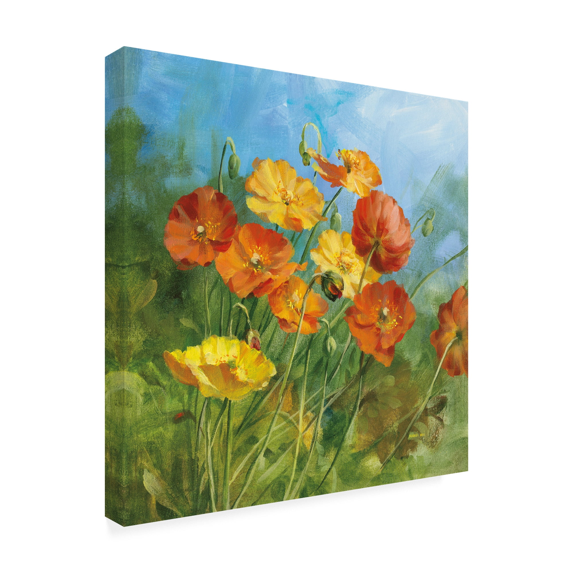 Trademark Fine Art 'Summer Field IV' Canvas Art by Danhui Nai