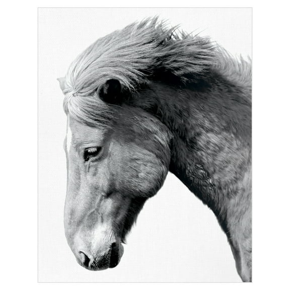 Portrait Gaze by Irene Suchocki Horse Photo Canvas Art