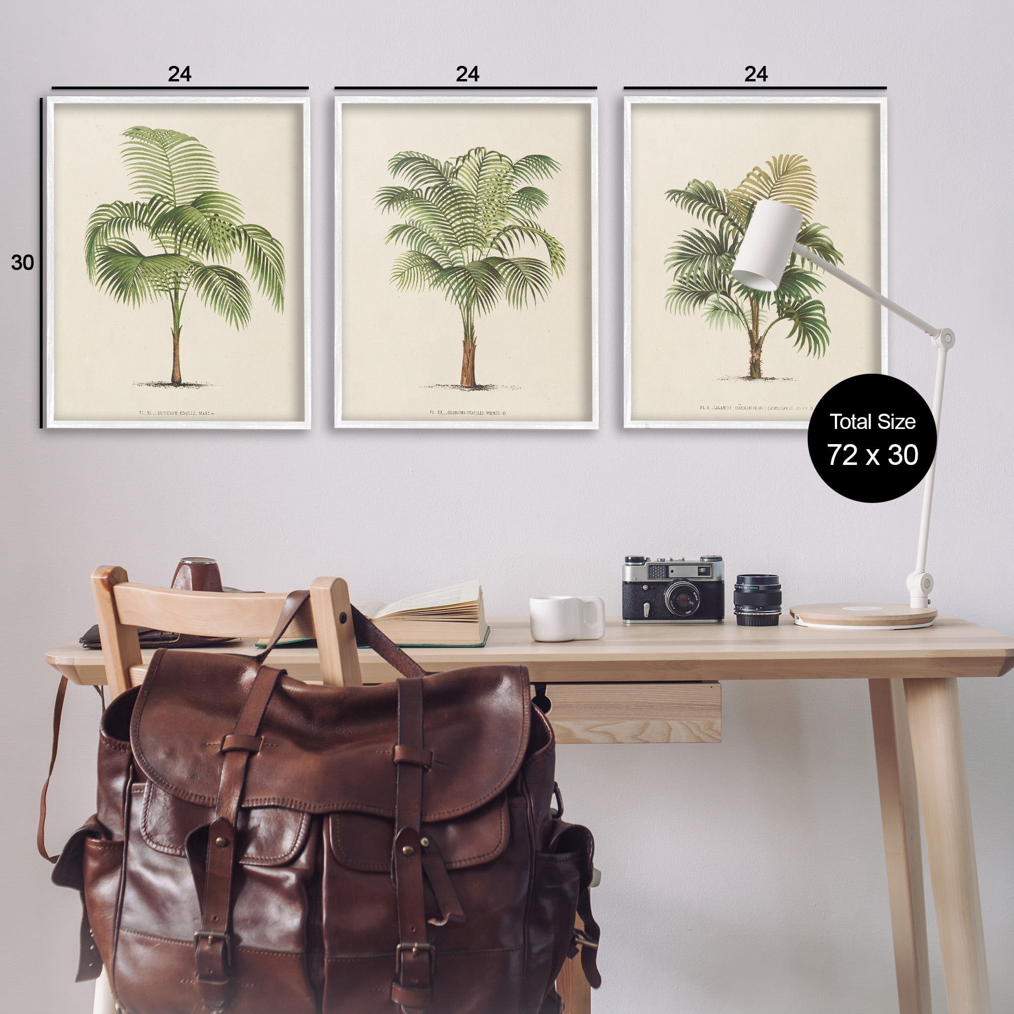 Stupell Industries Les Palmiers Botanical Trio Botanical & Floral Painting White Framed Art Print Wall Art, 24 x 30, Set of 3