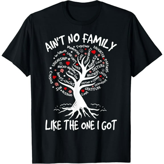 Awesome Ain't No Family Like The One I Got Vintage Funny Gifts T-shirt