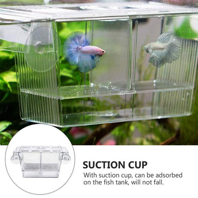 Clerance! Large Guppy Hatchery Breeding Isolation Box For Aquarium
