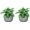 Light Grey, variant on 2 Pack Hanging Planters for Outdoor Indoor Plants, Plastic Plants Pot Wall Mounted, Hanging Flower Pots Plants Container with Hooks for Porch Railings Garden Balcony Patio(No plants)