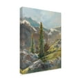thumbnail image 2 of Trademark Fine Art 'Rocky Hillside I' Canvas Art by Ethan Harper, 2 of 4