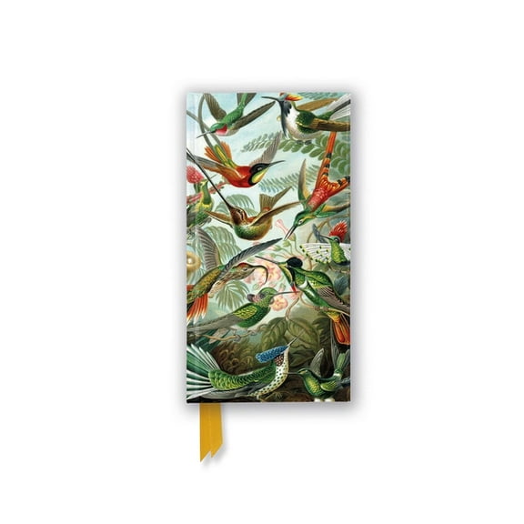 Flame Tree Slimline Journals Ernst Haeckel: Hummingbirds (Foiled Slimline Journal), (Hardcover)