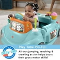 FisherPrice 2in1 Sweet Ride Jumperoo Activity Center & Learning Toy