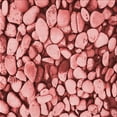 thumbnail image 1 of Ahgly Company Machine Washable Indoor Square Transitional Light Salmon Pink Area Rugs, 5' Square, 1 of 7