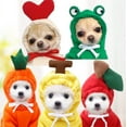 thumbnail image 2 of Cute Fruit Costume Hoodies, 2 of 11
