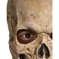 thumbnail image 4 of Crypt Skull Mask, 4 of 4