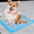 thumbnail image 6 of Pet Toilet Potty Puppy Pee Tray ,Convenient to Open and Change Blue, 6 of 7