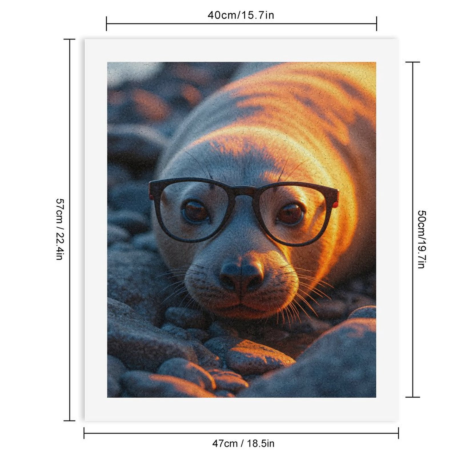 Paint By Numbers Kit for Adults Beginner - Seal Glasses Sunset Rocks Cute DIY Canvas Painting Kits for Adults, Frameless Paint By Number for Adults for Home Wall Decor 16x20 Inch