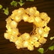 thumbnail image 5 of Luces de flores para decoración del día de San Valentín, 20 luces LED de cadena de rosas con pilas para decoración de interiores y exteriores de jardín, dormitorio, luces de hadas blancas pa, 5 of 5
