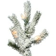 thumbnail image 2 of Vickerman 7' Flocked Alpine Artificial Christmas Tree, Clear Dura-Lit lights, 2 of 6
