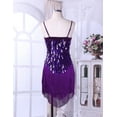 thumbnail image 4 of JanJean Women's Sequin Fringe Tassel Latin Dance Dress Tango Rumba Samba Costumes Ballroom Dancewear Purple One_Size, 4 of 7