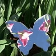 thumbnail image 1 of Clearance Now! Butterfly Shaped Mirror otogray Shooting Props Small Portable εя K5I6, 1 of 1