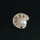 thumbnail image 5 of Fornituras de botón de perla de cristal con forma de concha de 10 piezas para joyas de bricolaje artesanías de oro Zulema Flatback Jewelry Findings, 5 of 8