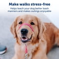 thumbnail image 4 of Collar para perro PetSafe Gentle Leader No-Pull Mediano Negro, 4 of 6