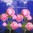 thumbnail image 2 of Solar Flower Lights Garden Decorations Outdoor Waterproof [Updated] 2 Packs 10 Pink Roses Solar Decorative Stake Lights for Patio Pathway Yard Lawn Decor Gifts, 2 of 8