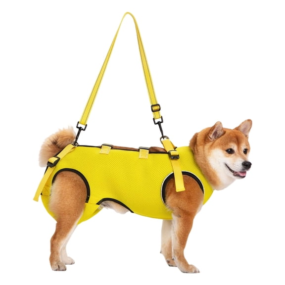 Assistive Dog Walking Harness Adjustable Breathable Support for Disabled Pet Dog