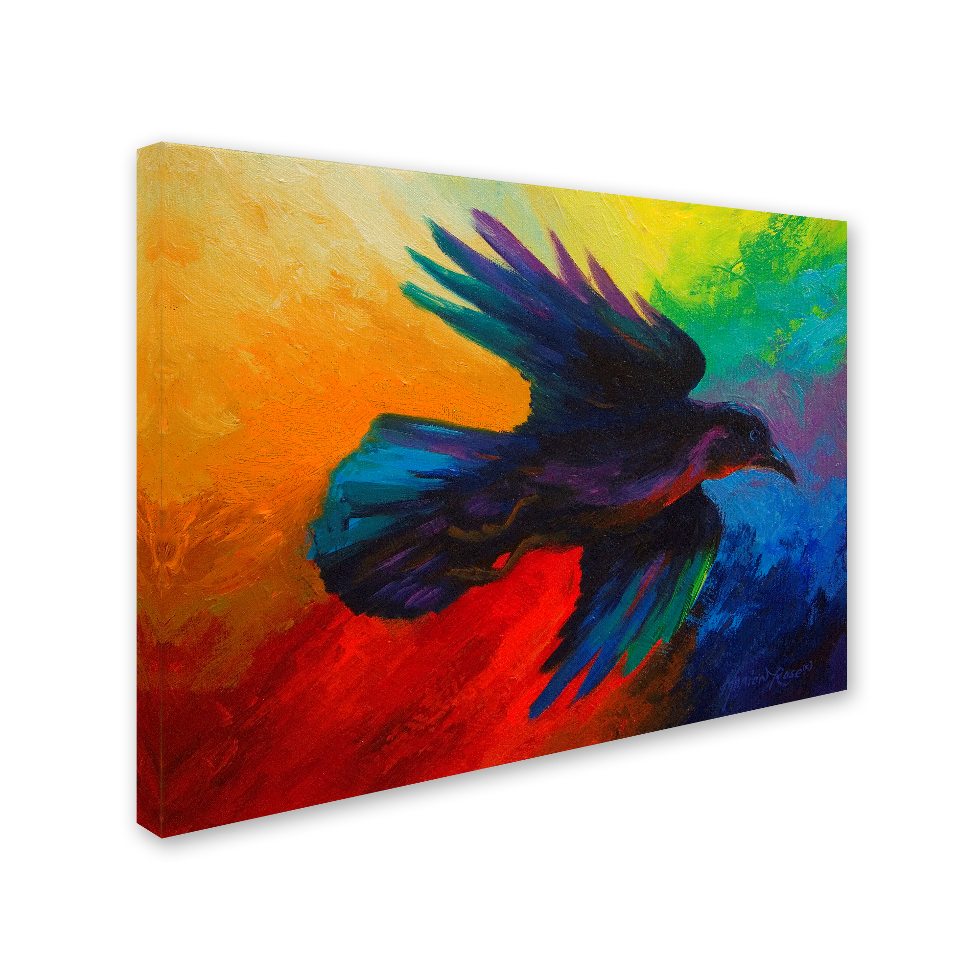 Trademark Fine Art 'Crow 4' Canvas Art by Marion Rose
