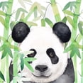 thumbnail image 2 of Atelier B Art Studio 12x12 White Modern Wood Framed Museum Art Print Titled - HIDDEN PANDA IN BAMBOO, 2 of 4