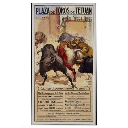 Plaza De Toros Bullfight Vintage Poster Spain 1955 24X36 Hooves Horns